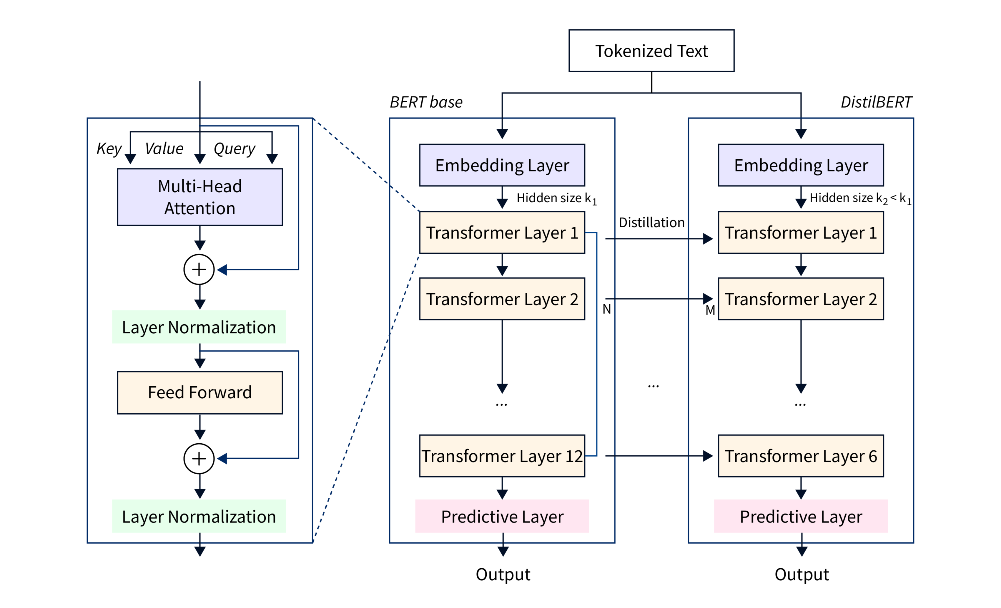 So sanh BERT base va DistillBert